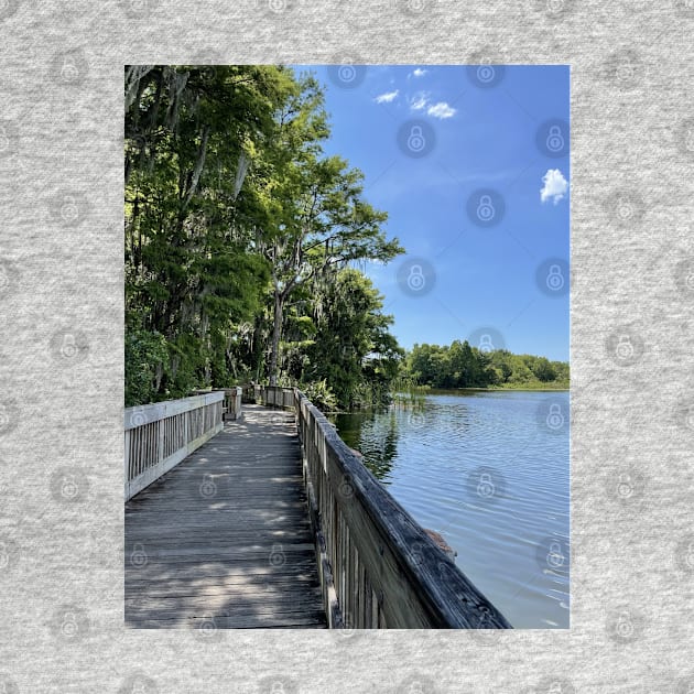 Bright Florida Day on the Water by Sparkleweather